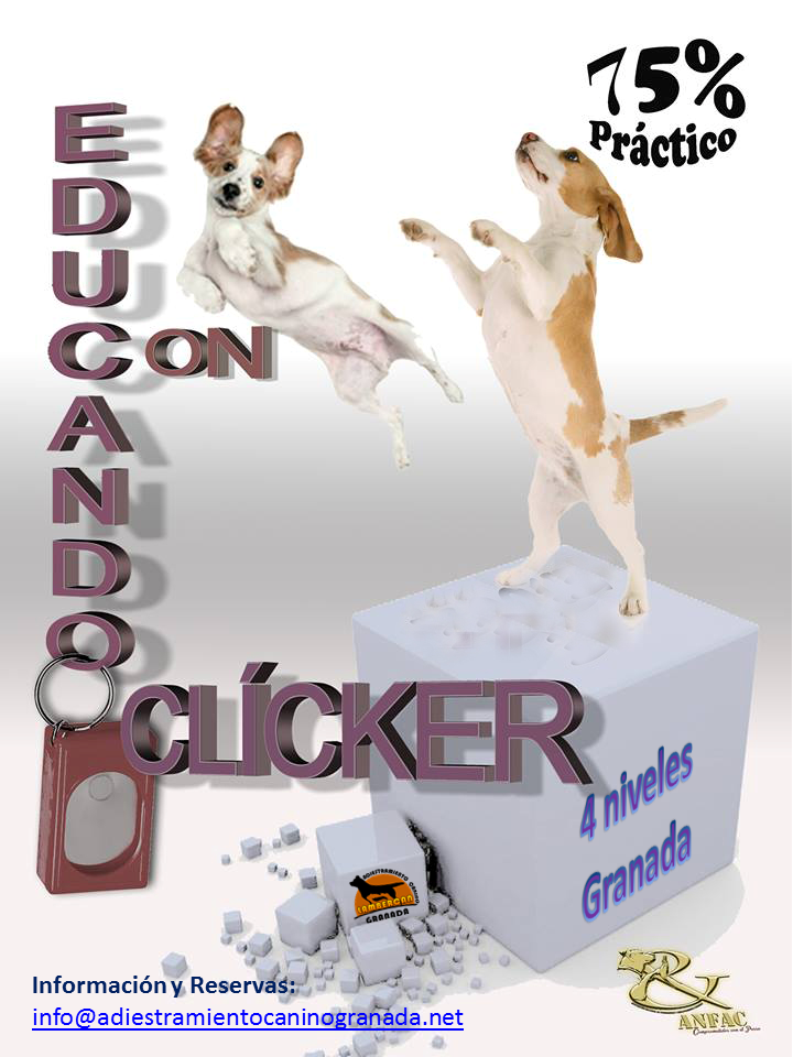 EDUCANDO CON CLICKER