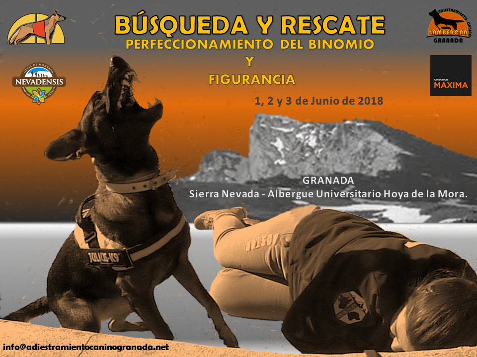 Jornadas Perros BÚSQUEDA Y RESCATE GRANADA