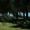 Mantrailing Workshop© Granada 2016