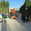 Seguridad privada perros