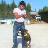 Seguridad privada perros