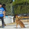 Seguridad privada perros